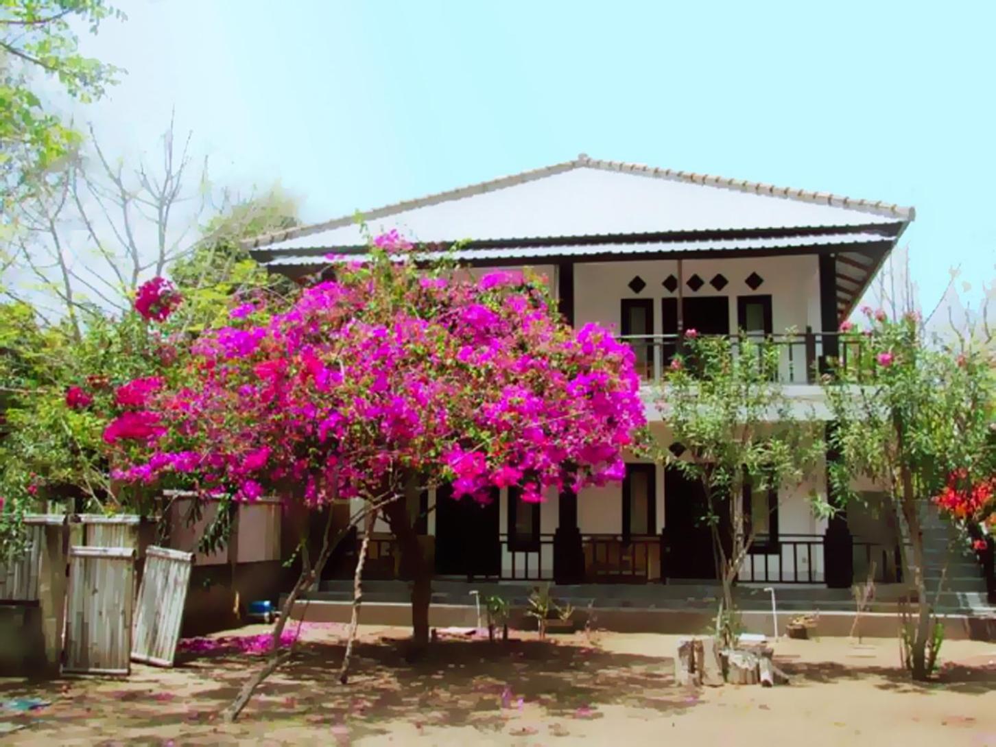 The Rabbit Tree Hostel Gili Meno Exterior photo
